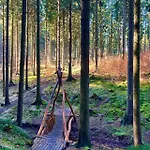 Am Mühlgrundbach Schöna