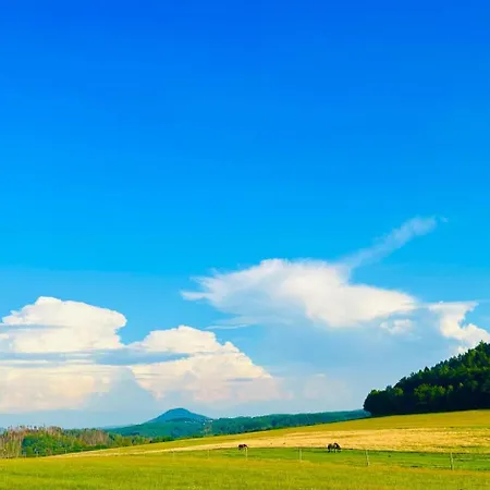 Am Muehlgrundbach شقة Schöna