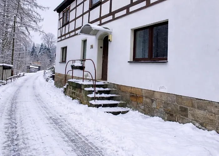 Am Muehlgrundbach شقة Schöna