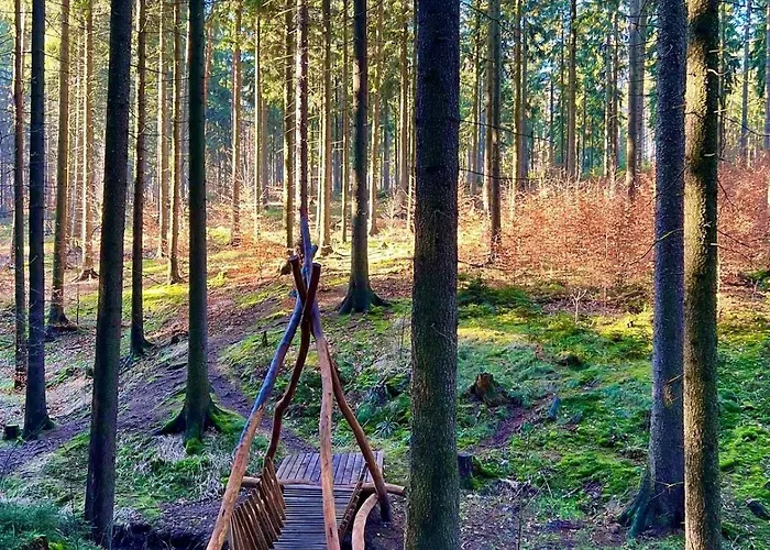 Am Muehlgrundbach Schöna