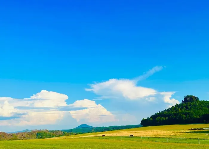 Am Muehlgrundbach شقة Schöna